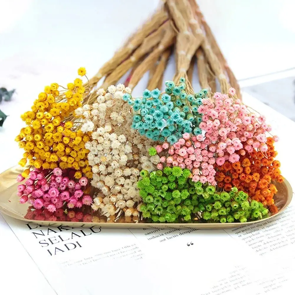 50Pcs Dried Flowers Bouquet Dry Flower