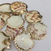 5Pcs Sector Shell Pendant Charms For DIY Necklace Bracelet Anklet