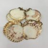 5Pcs Sector Shell Pendant Charms For DIY Necklace Bracelet Anklet