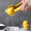 Manual Lemon Squeezer Tools-Grater-Arlik interiors