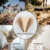 Fluffy Pampas Grass Boho Decor-Flowers-Arlik interiors