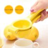 Manual Lemon Squeezer Tools-Grater-Arlik interiors