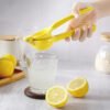 Manual Lemon Squeezer Tools-Grater-Arlik interiors