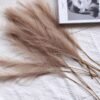 20PCS Fluffy Pampas Grass Boho Decor Flower Fake Plant